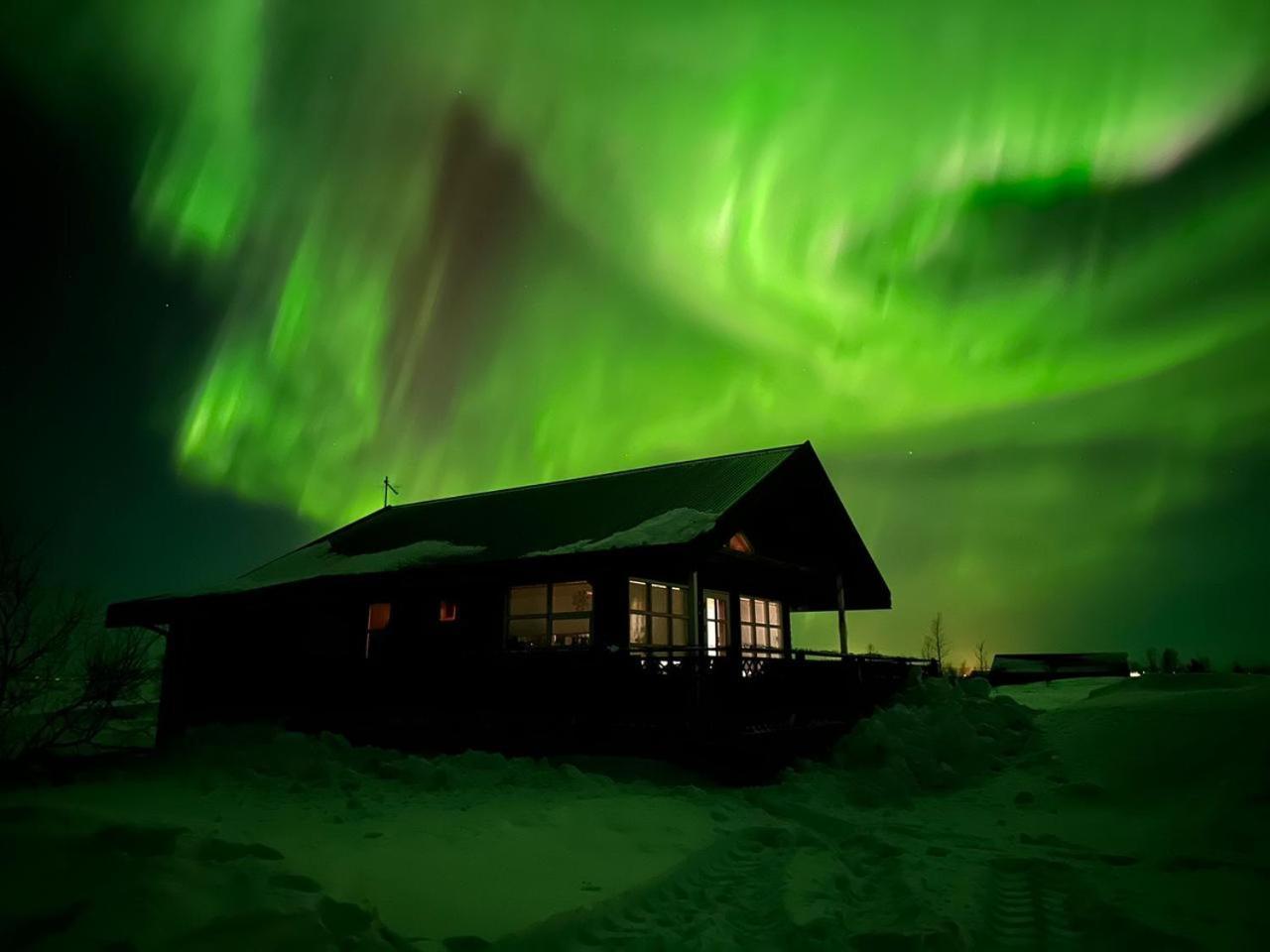 Cozy Cottage House Located At Golden Circle Selfoss Dış mekan fotoğraf